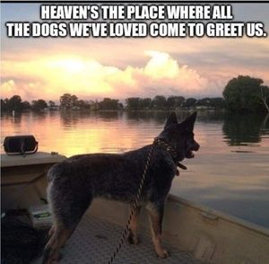 Meet your Posher, Linette